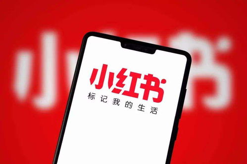 小红书估值破百亿,花旗高管任cfo,上市将近小红书该咋看